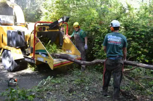 tree services Mobile